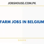 Farm Jobs in Belgium